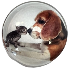 Glas cabochon 25mm: hond en kitten