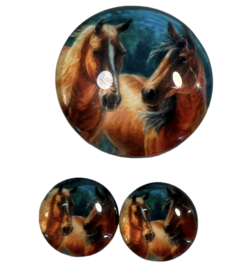 Glas cabochon 12mm 2 bruine paarden op blauw, per 2 stuks