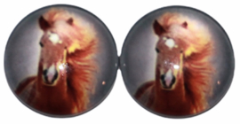 Glas flatback cabochon 12mm paard, per 2 stuks