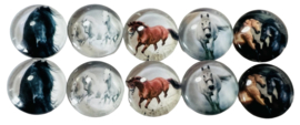 Glas cabochons 12 mm paarden: 10 stuks
