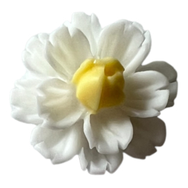 Flatback wit/geel bloemetje 12mm