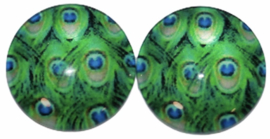 Glas flatback cabochon 12mm pauwenveer  per 2 stuks