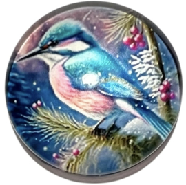 Glas cabochon 20mm: blauwe ijsvogel