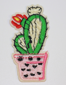 cactus in pot applicatie 30x70mm