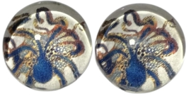 Glas flatback cabochon 12mm inktvis, per 2 stuks