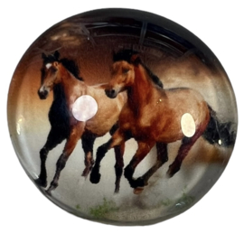 Glas cabochon 25mm: bruine paarden in galop
