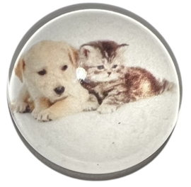 Glas cabochon 20mm: pup en kitten
