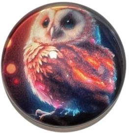 Glas cabochon 20mm: uil
