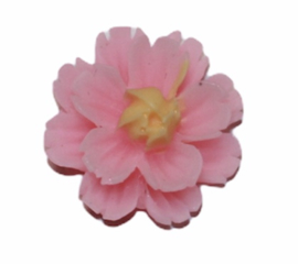 Flatback roze/geel bloemetje 13mm