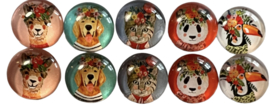 Glas cabochons 12 mm funny animals: 10 stuks