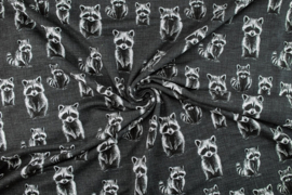French Terry tricot: Rocky raccoon, per 25 cm