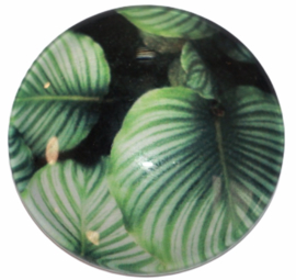 Glas cabochon 25mm: Zwart met groen blad