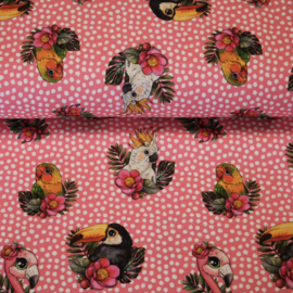 Tricot digitale print : roze met witte stipjes met tukan/papegaai (Stenzo) per 25 cm