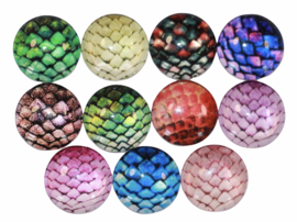 Glas cabochons 12 mm setje schubben: 11 stuks