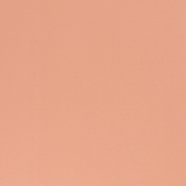 Boordstof: abrikoos (Swafing kleur 422 lente/ zomer 2022) Rondgebreid 48 cm. Per 25 cm