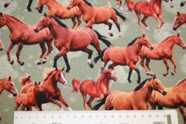 Digitale print tricot: HORSES, per 25 cm