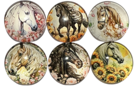 Glas cabochons 20mm: 6x paard