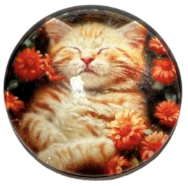 Glas cabochon 25mm: poes met oranje bloemetjes