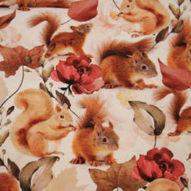 Digitale print tricot: SQUIRREL, per 25 cm