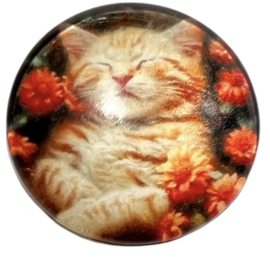 Glas cabochon 20mm: poes met oranje bloemetjes
