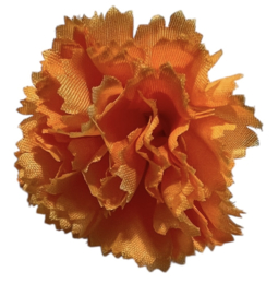 Afrikaantje oranje 5,5 cm