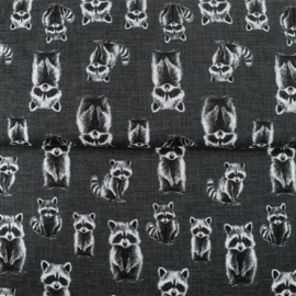 French Terry tricot: Rocky raccoon, per 25 cm