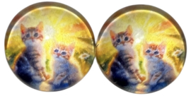 Glas cabochon 12mm poesjes in de zon, per 2 stuks