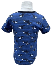 Shirt: orka 92-128