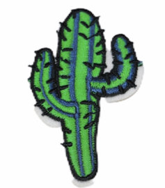 Cactus applicatie 73x 45 mm
