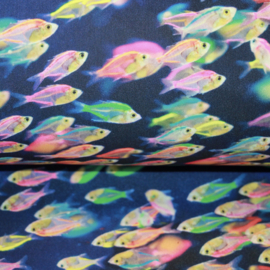 Soft shell digital print: neon fish (qjutie) per 25 cm