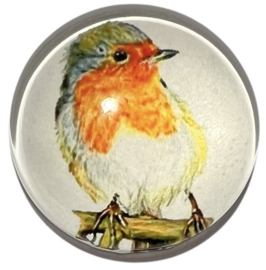 Glas cabochon 20mm: roodborst