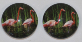 Glas cabochon flamingo's 10 mm, 2 stuks