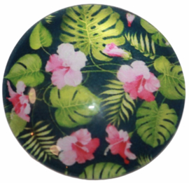 Glas cabochon 25mm: bloem roze en gatenplant