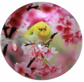 Glas cabochon 25mm: Bird yellow