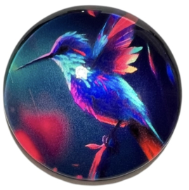 Glas cabochon 25mm: Kolibrie