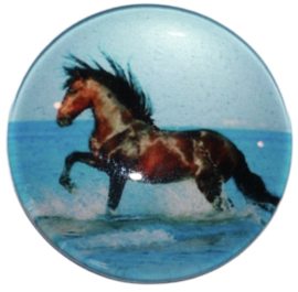 Glas cabochon 25mm: Horse on the beach