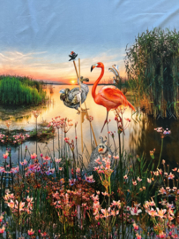 Panel digitale tricot: Flamingo lake 120x150 cm Stenzo