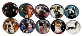 Glas cabochons 12 mm funny dogs: 10 stuks