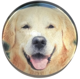 Glas cabochon 25mm: golden retriever