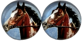 Glas flatback cabochon 12mm paard, per 2 stuks