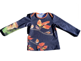 Shirtje herfst maat 80