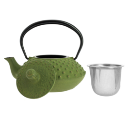 Kanbin Iwachu Tetsubin Teapot Golden Green 320ml