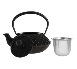 Kanbin Iwachu Tetsubin Teapot Black 320ml