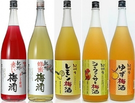 Nakano BC Yuzu Umeshu Plum wine 12% 720ml