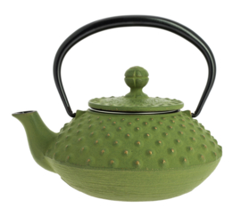 Kanbin Iwachu Tetsubin Teapot Golden Green 320ml