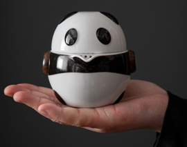 せいかつ Nippon Ceramic Portable Travel Tea Set One Pot One Cup / Panda