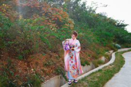 せいかつ Japanese Kimono Formal Woman Pink Furisode