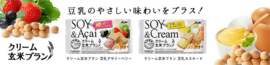 Asahi Soy & Cream 72g