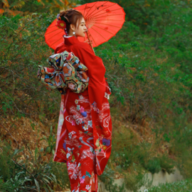 せいかつ Japanese Kimono Formal Woman Red Furisode