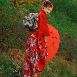 せいかつ Japanese Kimono Formal Woman Red Furisode